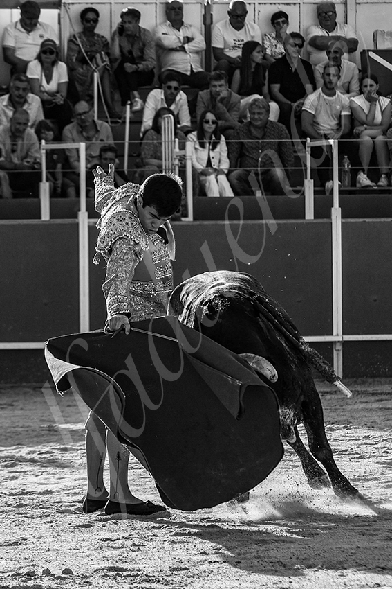 20240629 boujan 023 bd