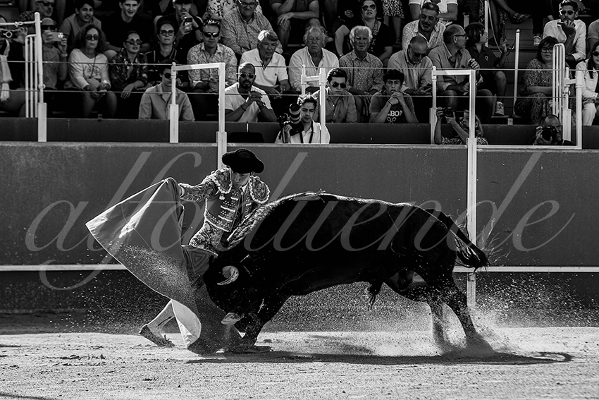 20240629 boujan 004 bd