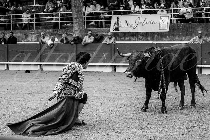 20240705 tarascon 024 bd