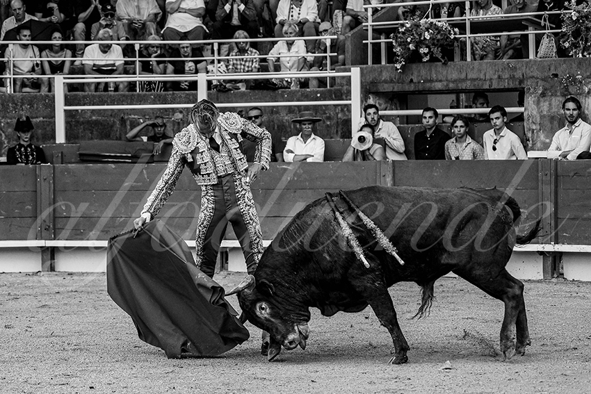 20240705 tarascon 006 bd