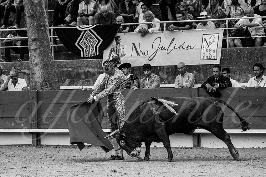 20240705 tarascon 004 bd