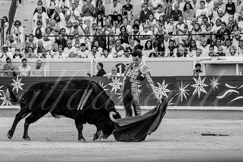 20240712 bayonne 023 bd