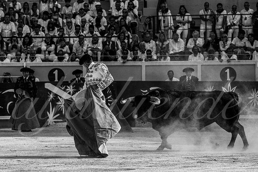 20240712 bayonne 005 bd