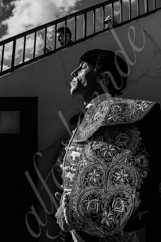 20240712 bayonne 004 bd