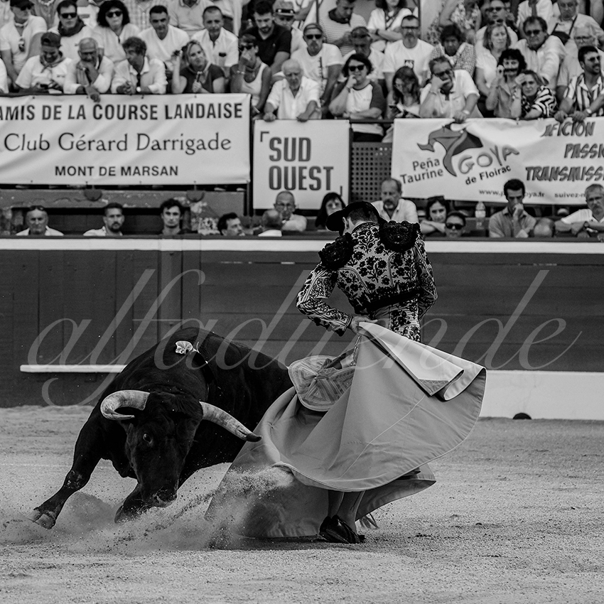 20240718 mont de marsan 017 bd