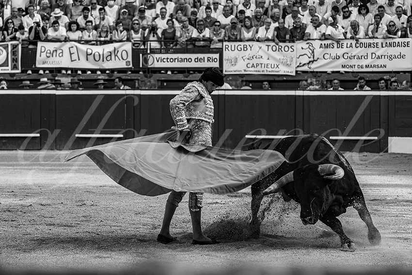 20240718 mont de marsan 010 bd