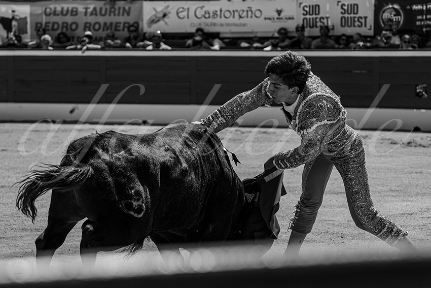 20240718 mont de marsan nsp 014 bd