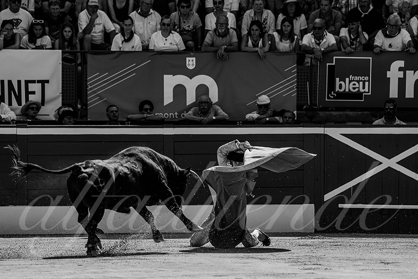 20240718 mont de marsan nsp 001 bd