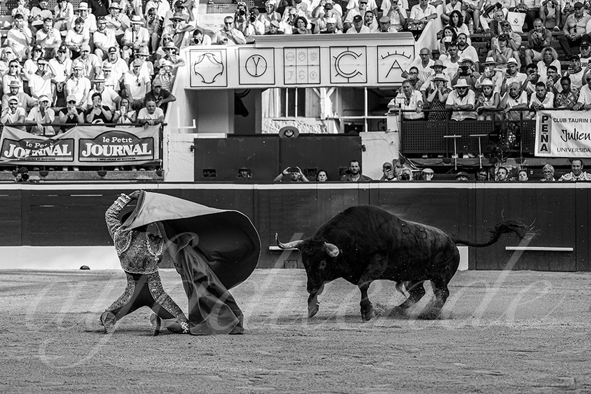 20240719 mont de marsan 020 bd