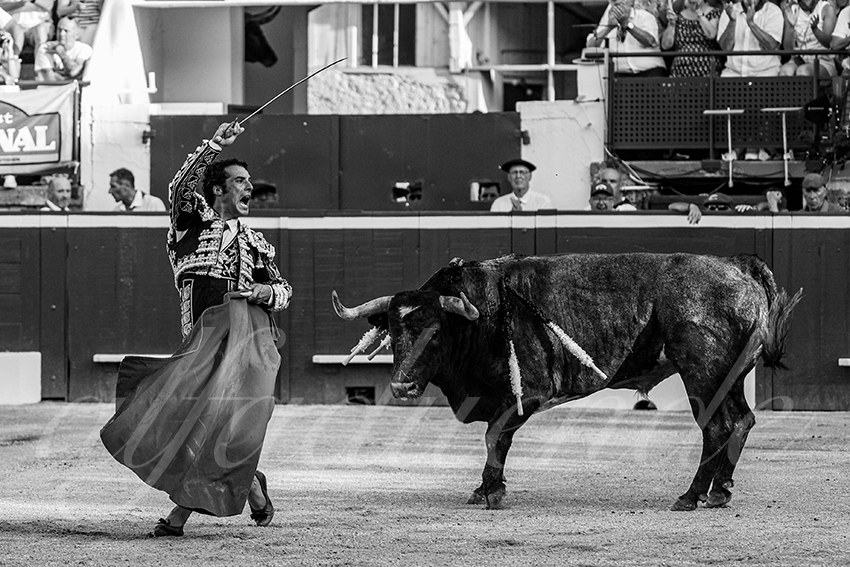 20240719 mont de marsan 013 bd