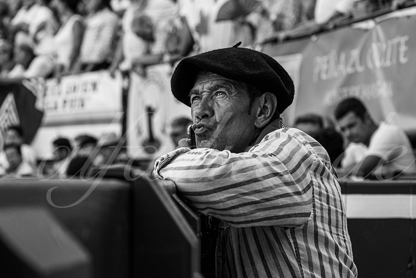 20240719 mont de marsan 008 bd