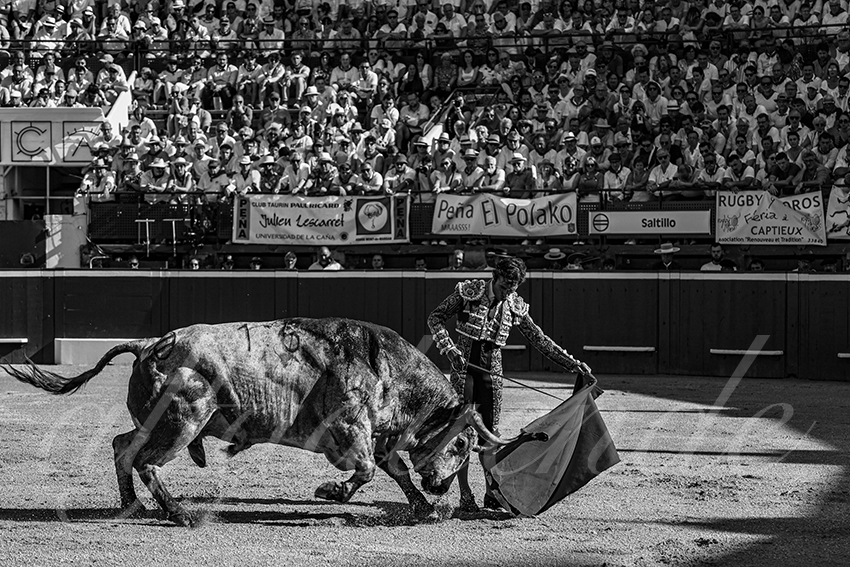 20240719 mont de marsan 005 bd