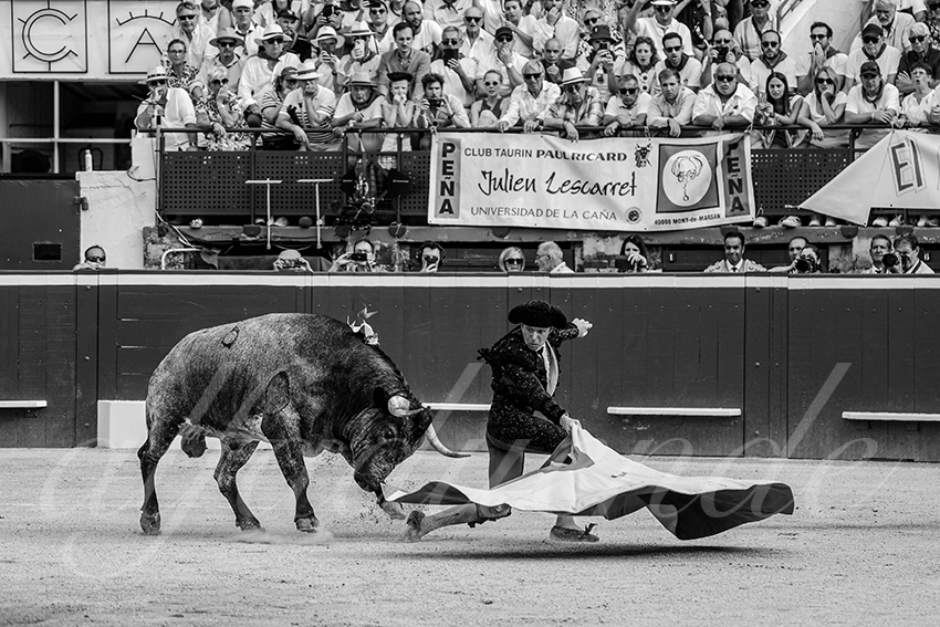 20240720 mont de marsan 023 bd