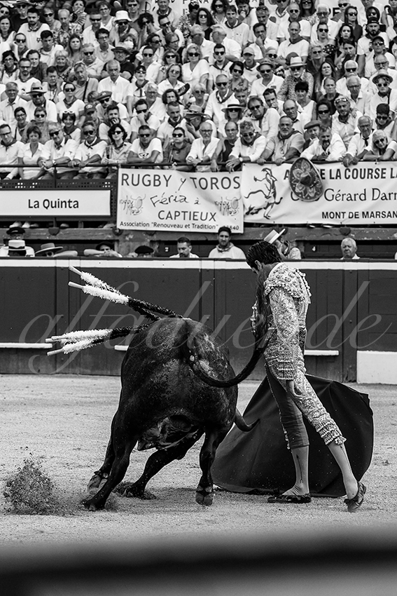 20240720 mont de marsan 006 bd