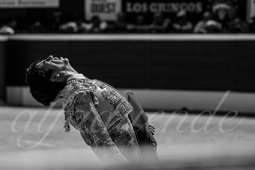 20240720 nov mont de marsan 030 bd