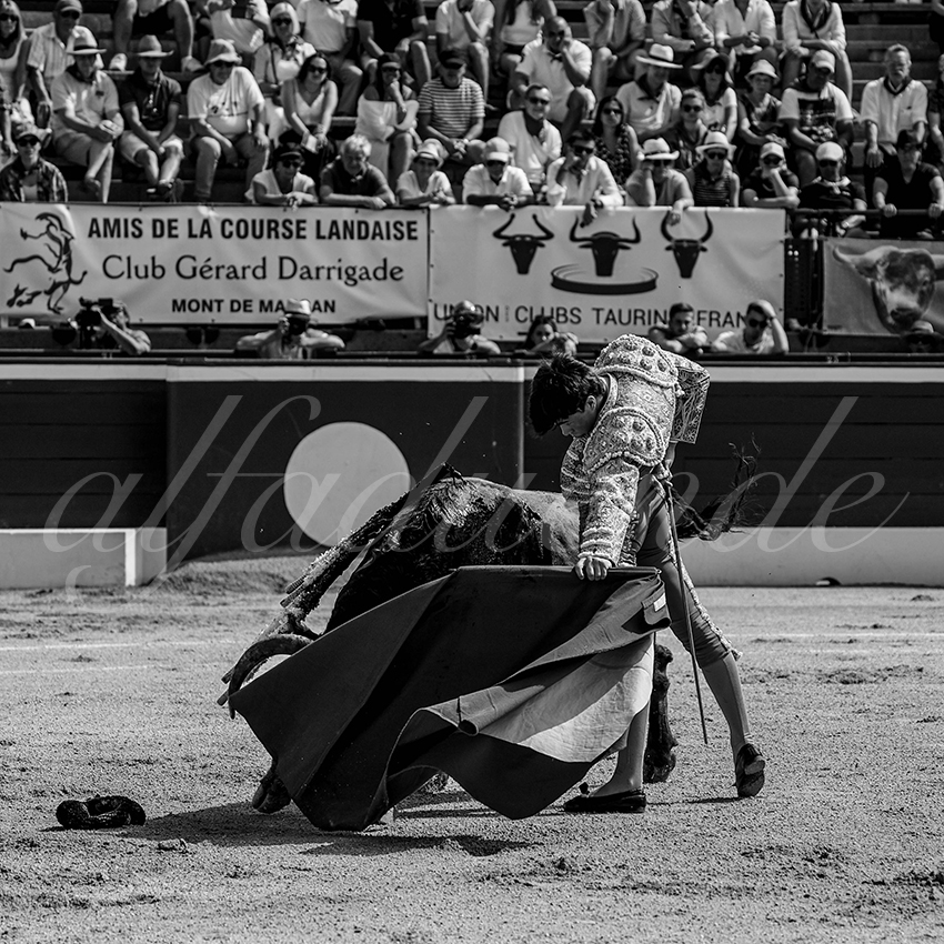 20240720 nov mont de marsan 011 bd