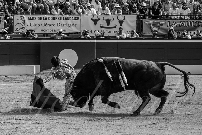 20240720 nov mont de marsan 007 bd