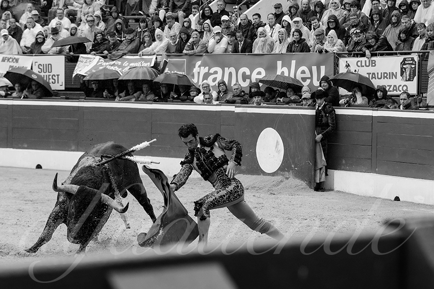 20240721 mont de marsan 010 bd