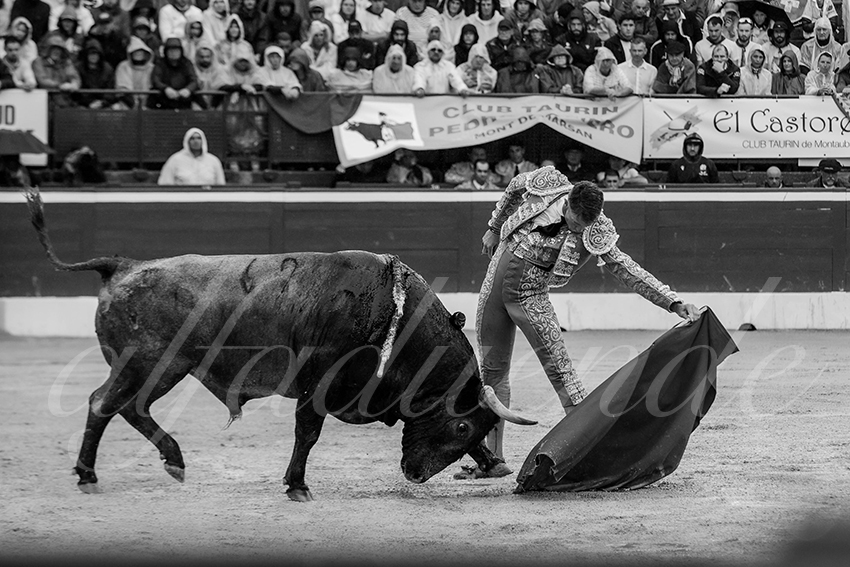 20240721 mont de marsan 006 bd