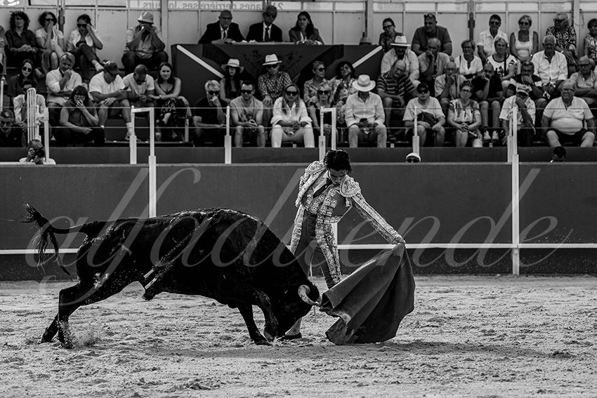 20240630 boujan 012 bd