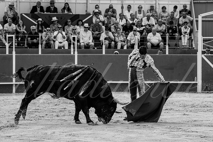 20240630 boujan 003 bd