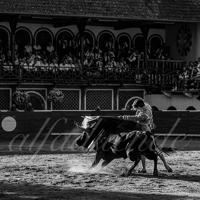 20240803 riscle 026 bd