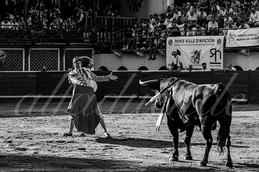 20240803 riscle 024 bd