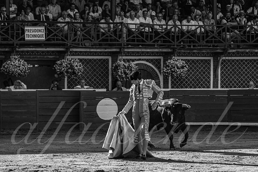 20240803 riscle 022 bd