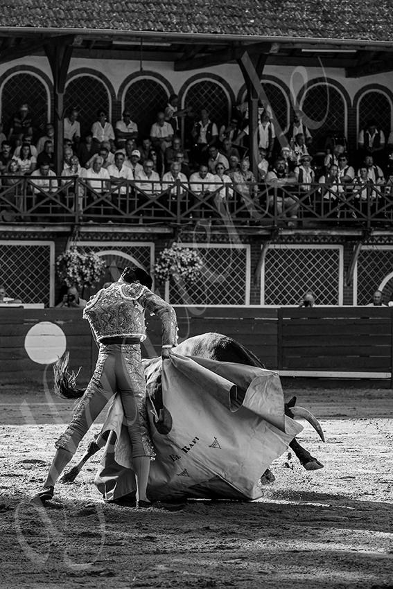 20240803 riscle 021 bd