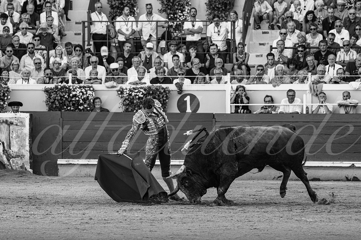 20240901 bayonne 027 bd