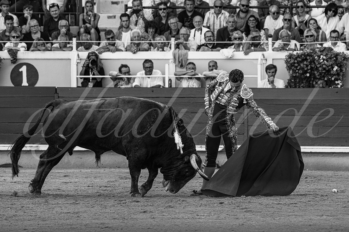 20240901 bayonne 025 bd