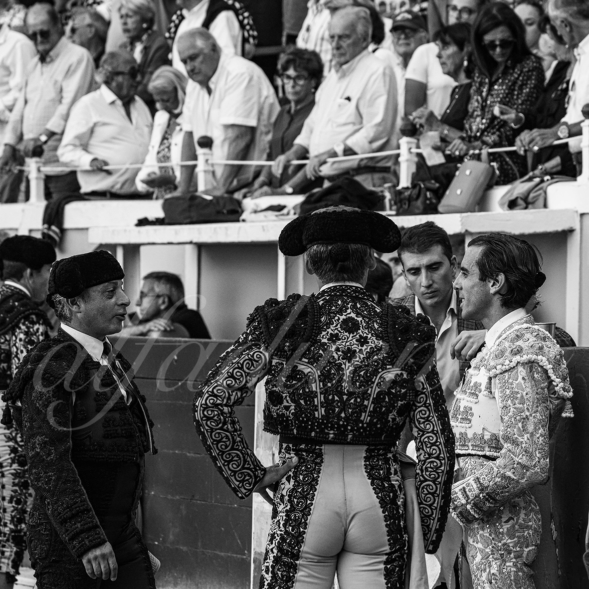 20240901 bayonne 014 bd