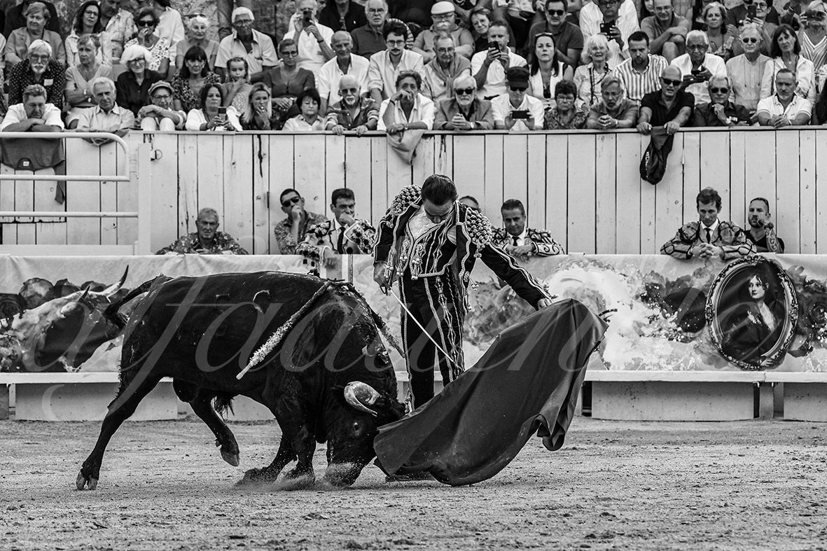 20240907 arles 009 bd