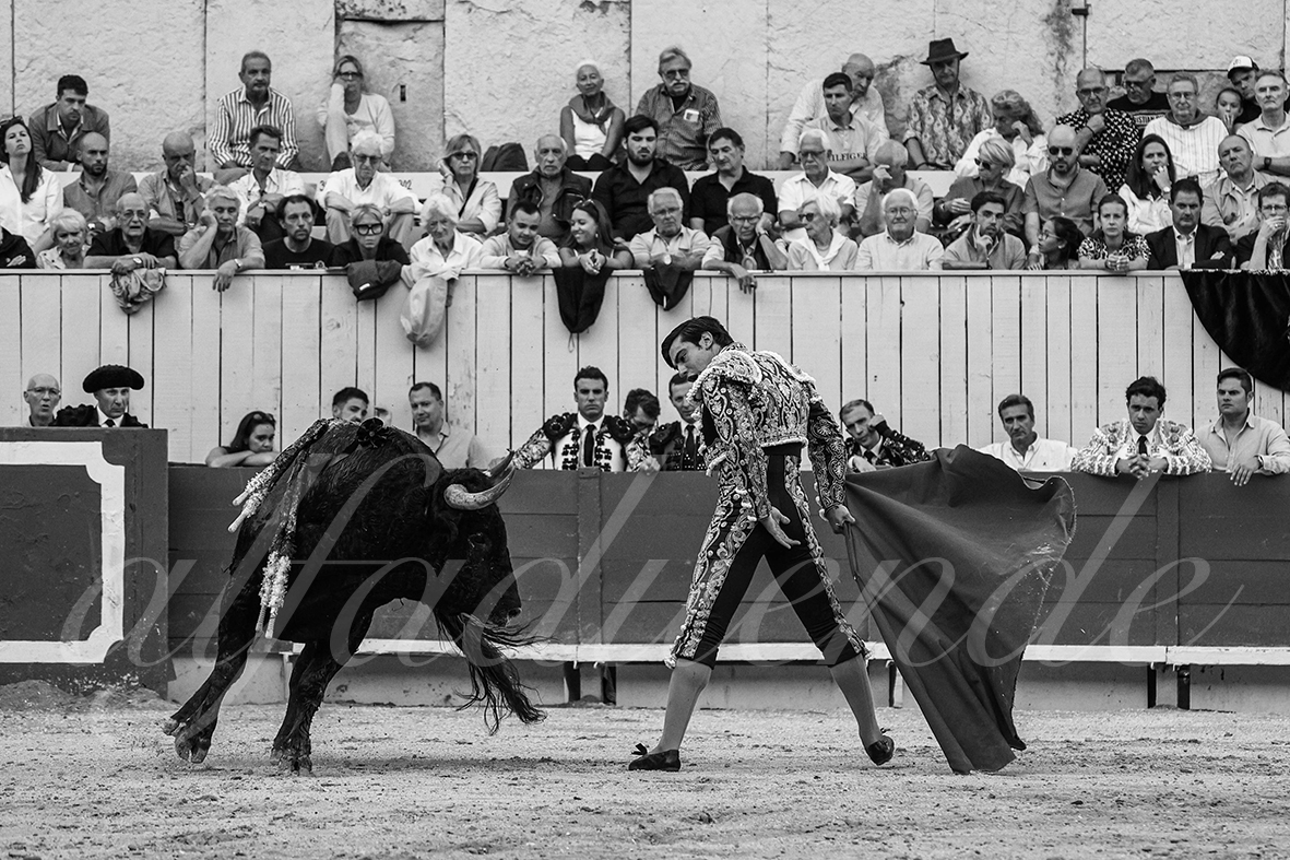 20240908 arles 014 bd