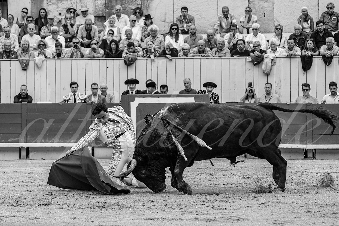 20240908 arles 002 bd