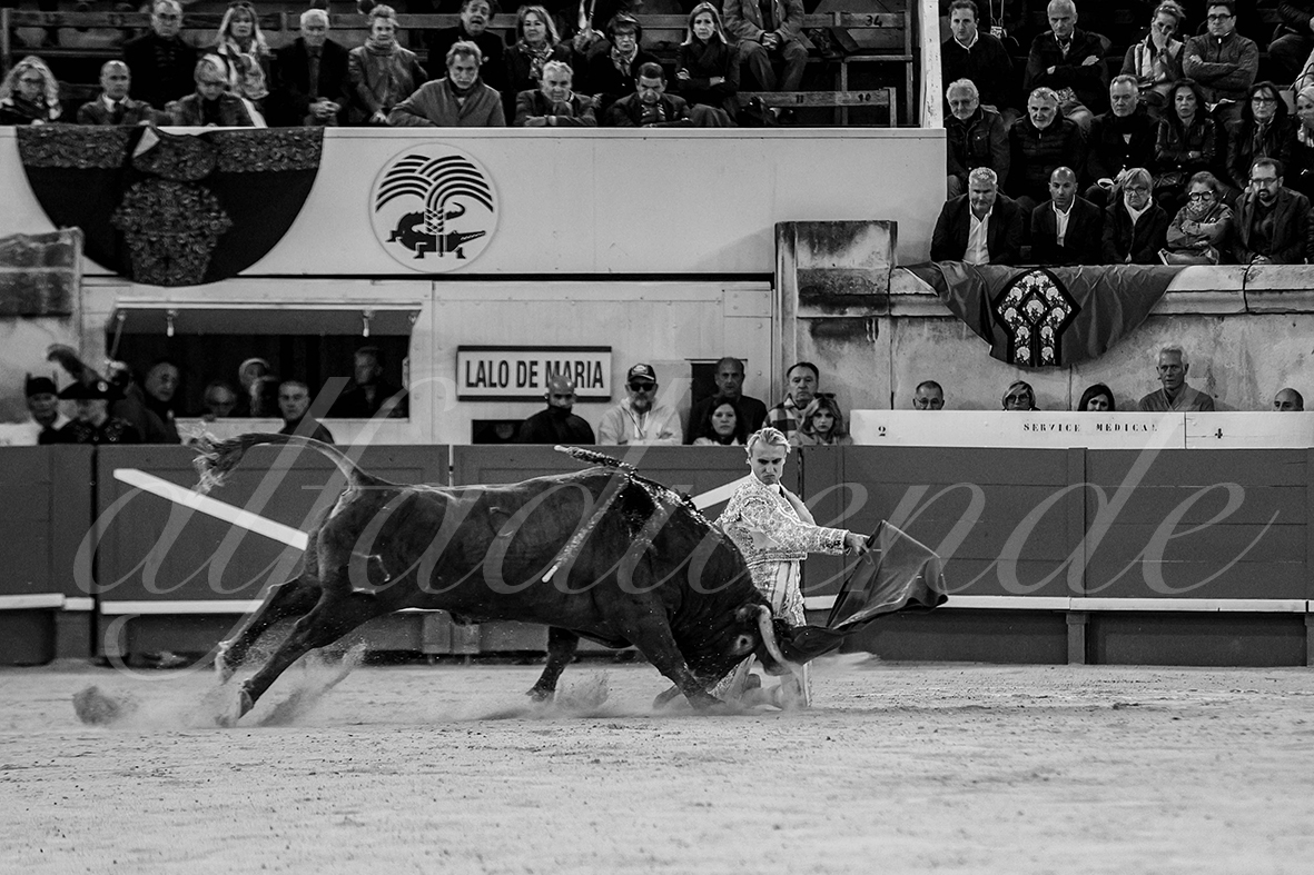 20240913 nimes 028 bd