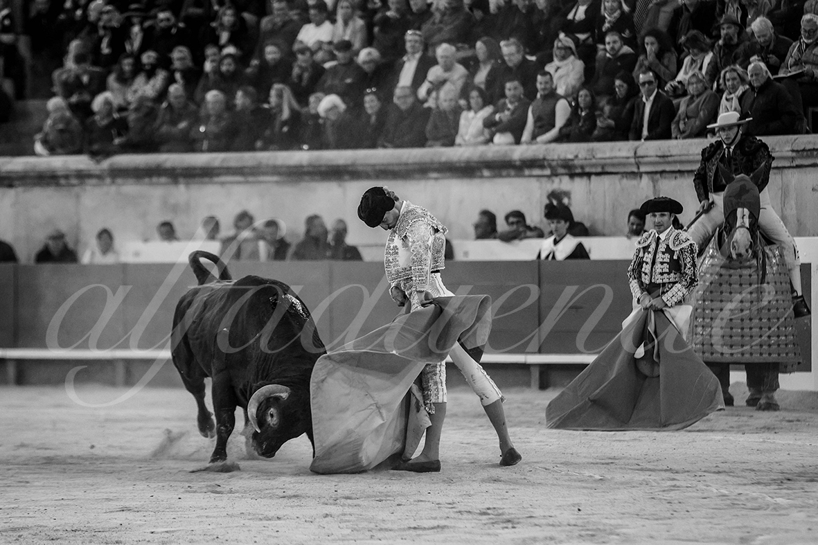 20240913 nimes 025 bd