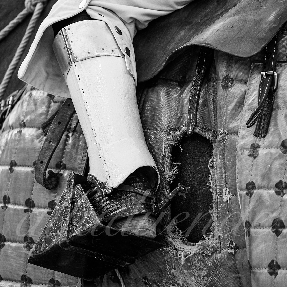 20240913 nimes 013 bd