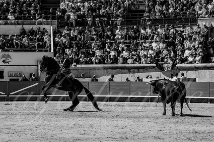 20240914 nimes matin 004 bd