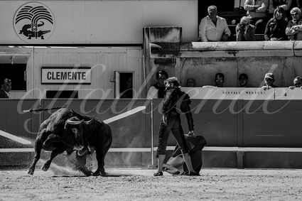 20240914 nimes matin 020 bd