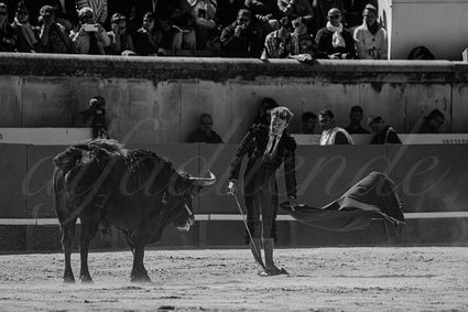 20240914 nimes matin 019 bd