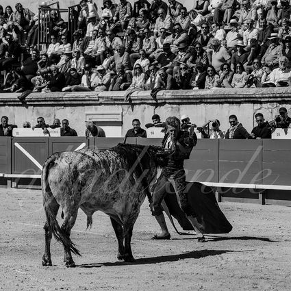 20240914 nimes matin 012 bd