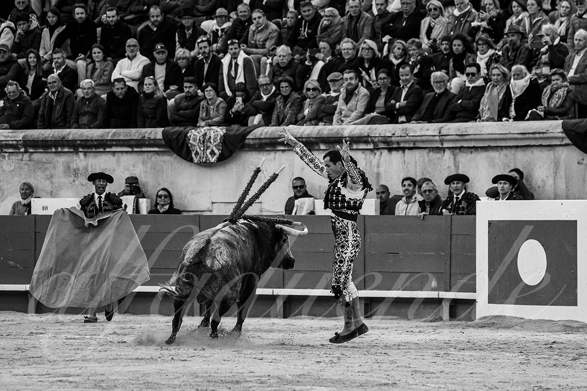 20240914 nimes tarde 018 bd