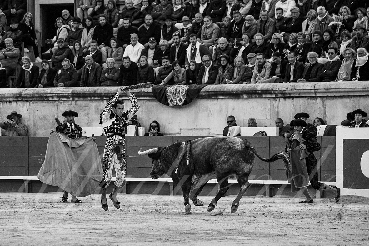 20240914 nimes tarde 017 bd