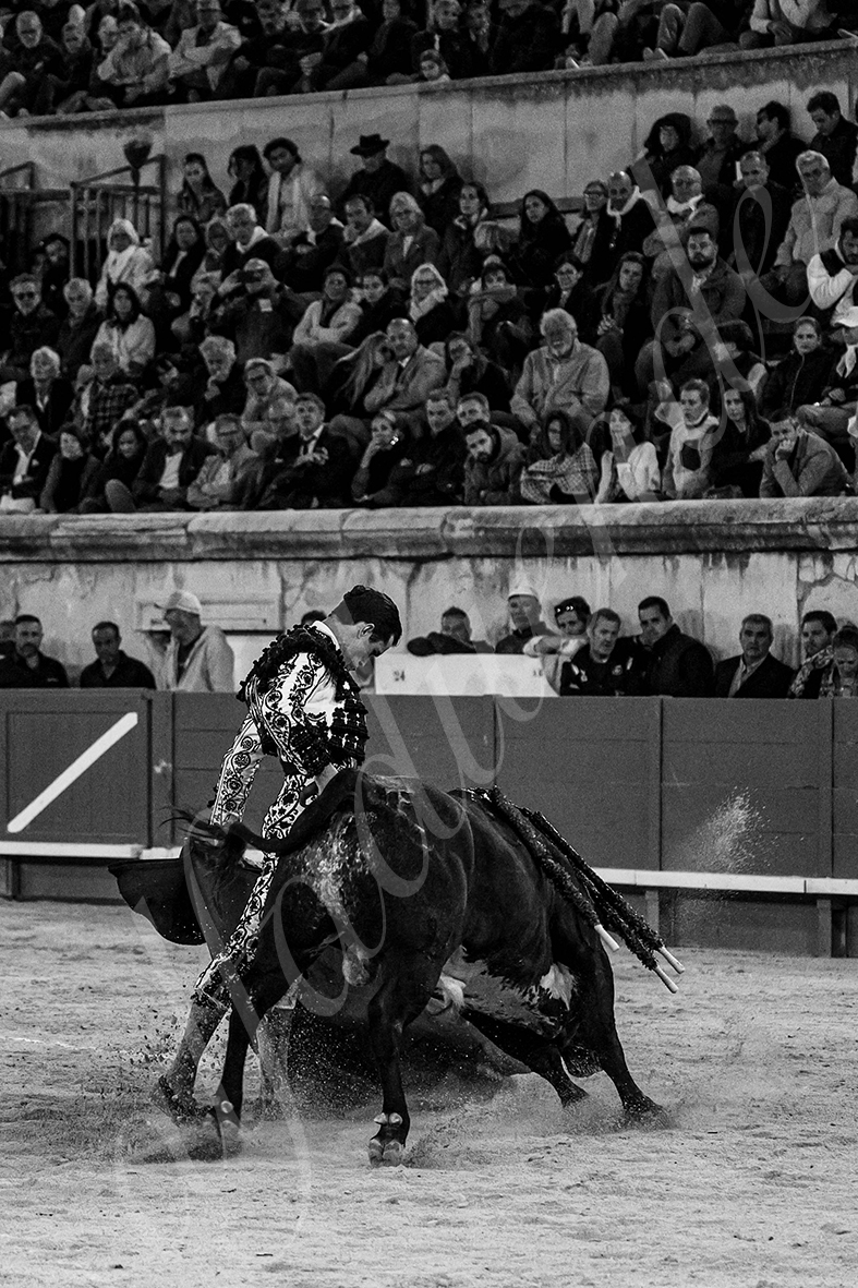 20240914 nimes tarde 036 bd