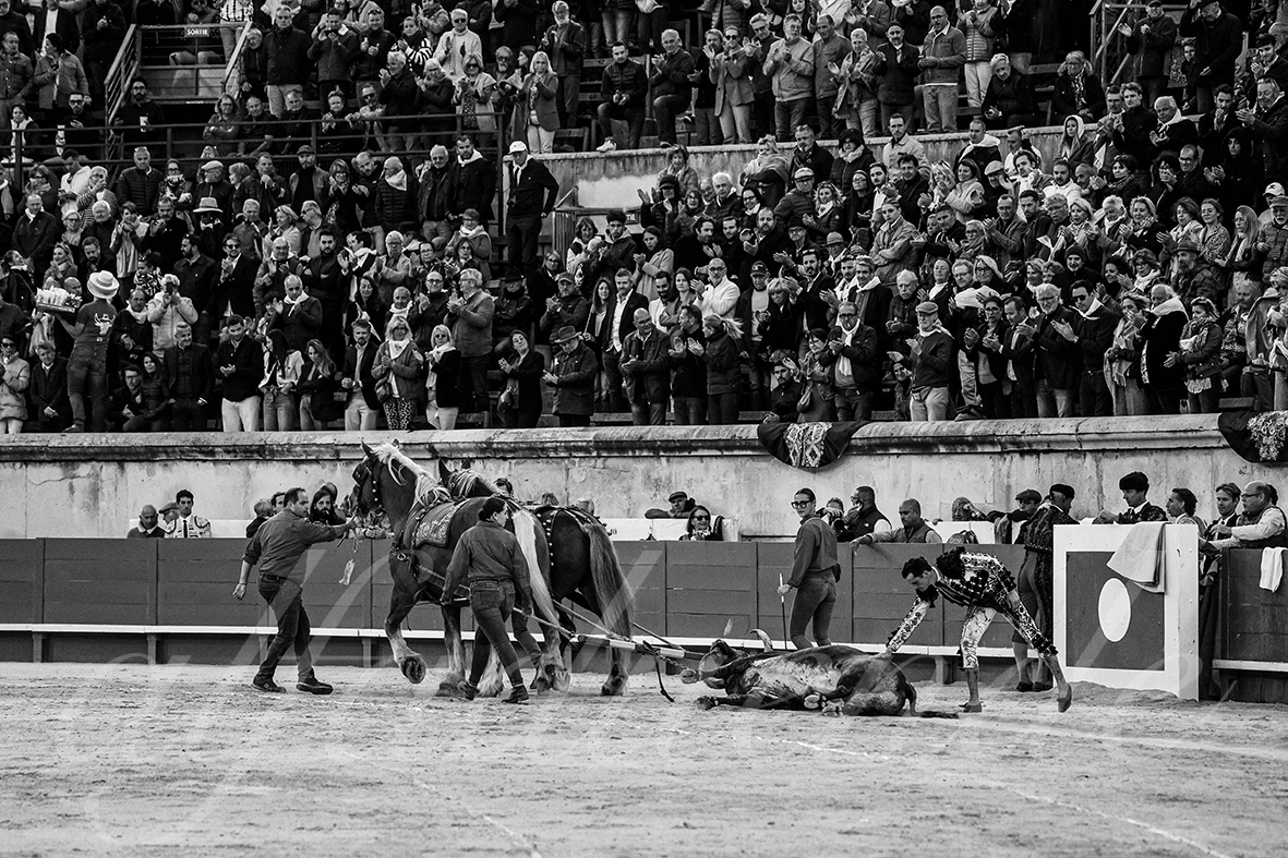 20240914 nimes tarde 028 bd