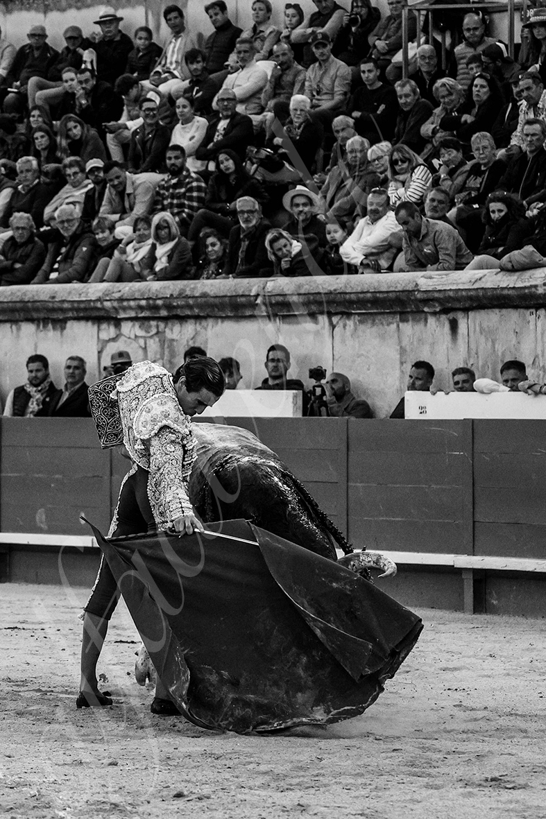 20240915 nimes 027 bd