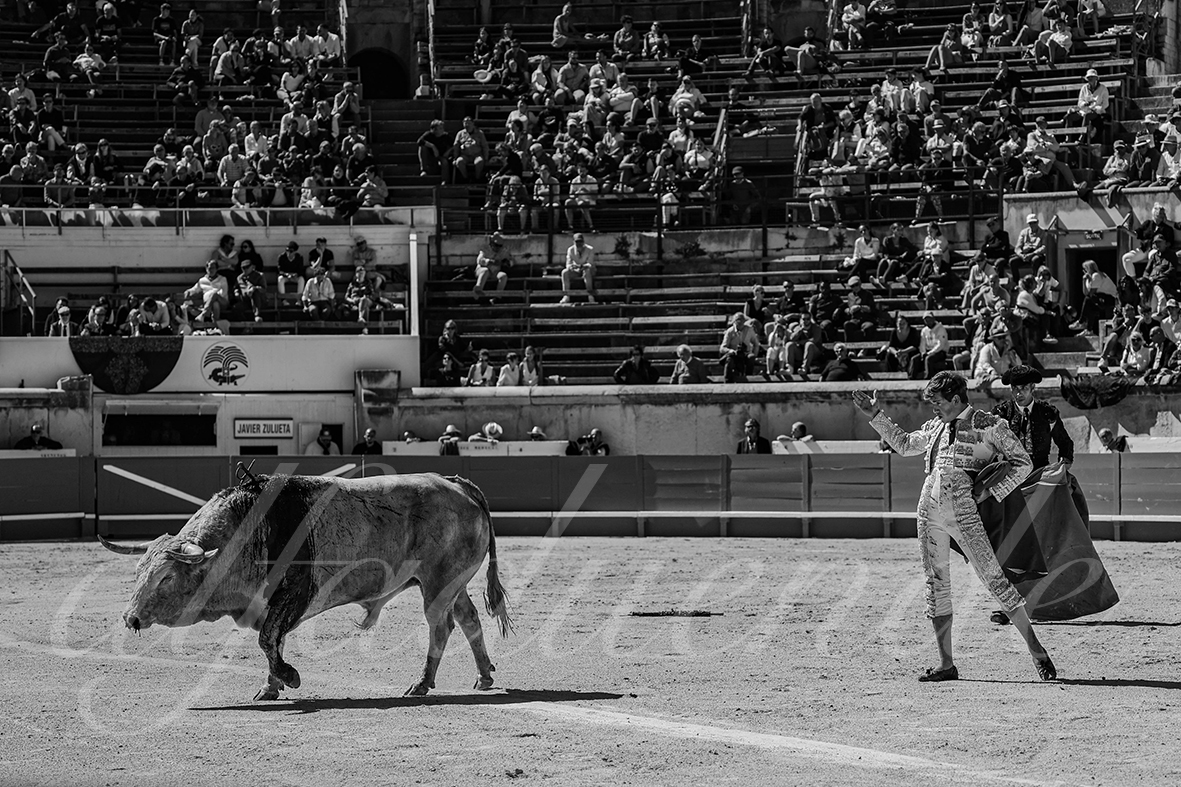 20240915 nimes nov 021 bd