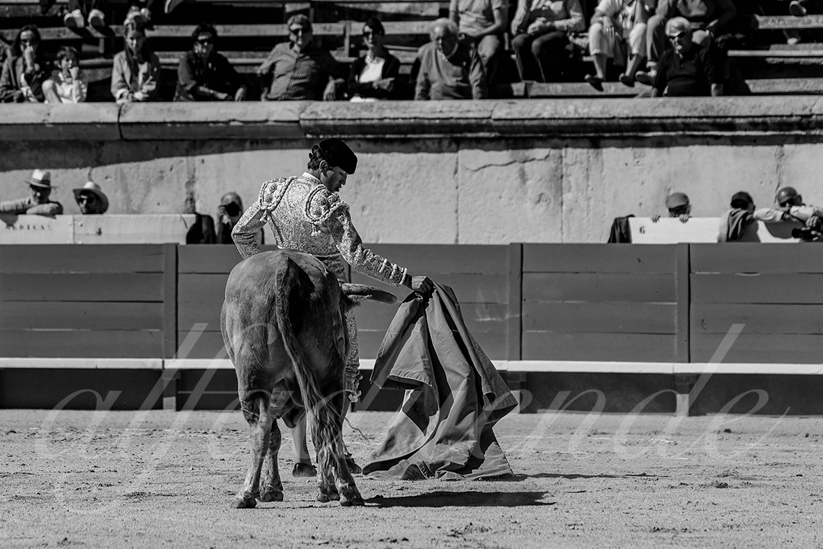 20240915 nimes nov 014 bd