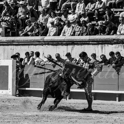 20240915 nimes nov 011 bd